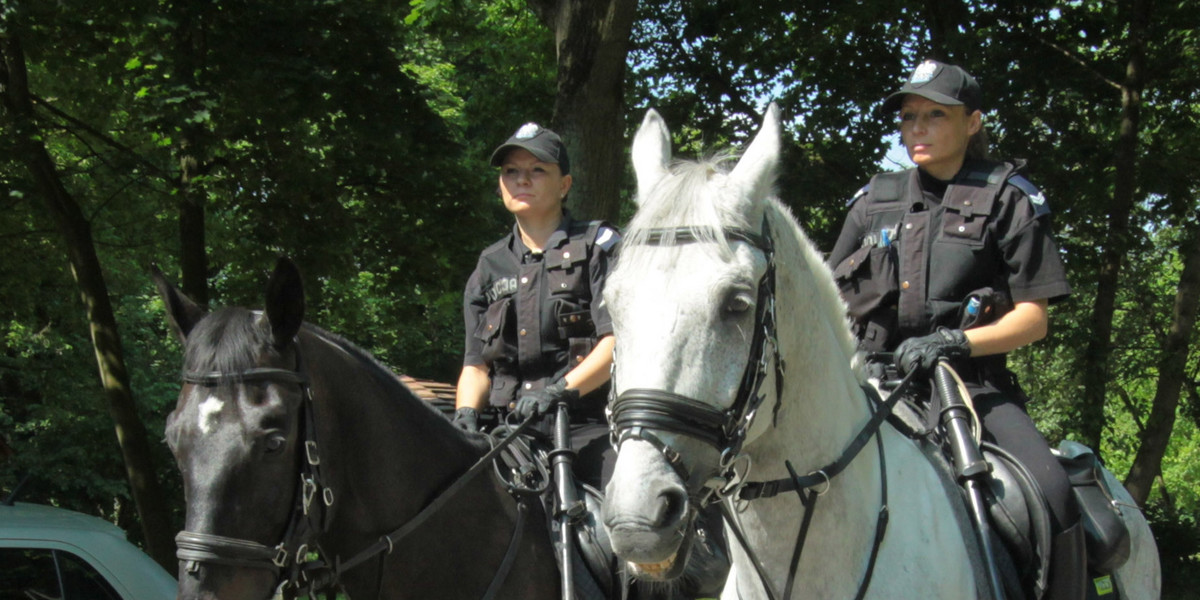 Szczecin Policja konna