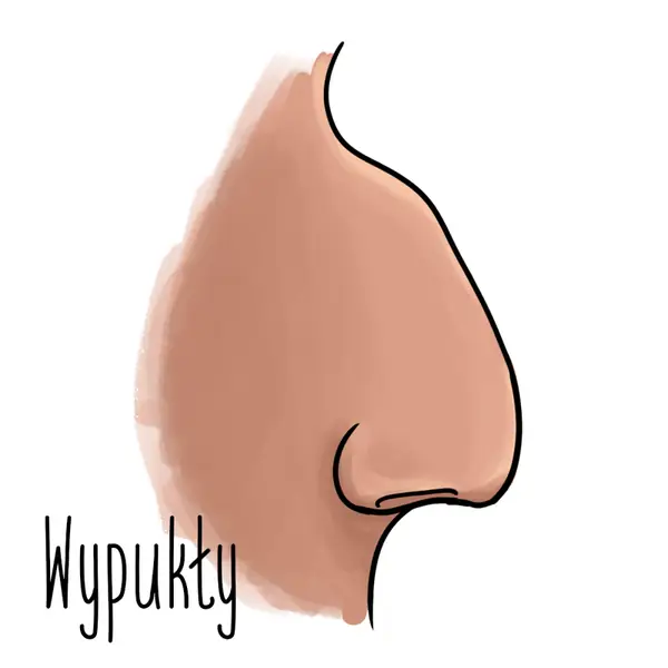 3-wypukly