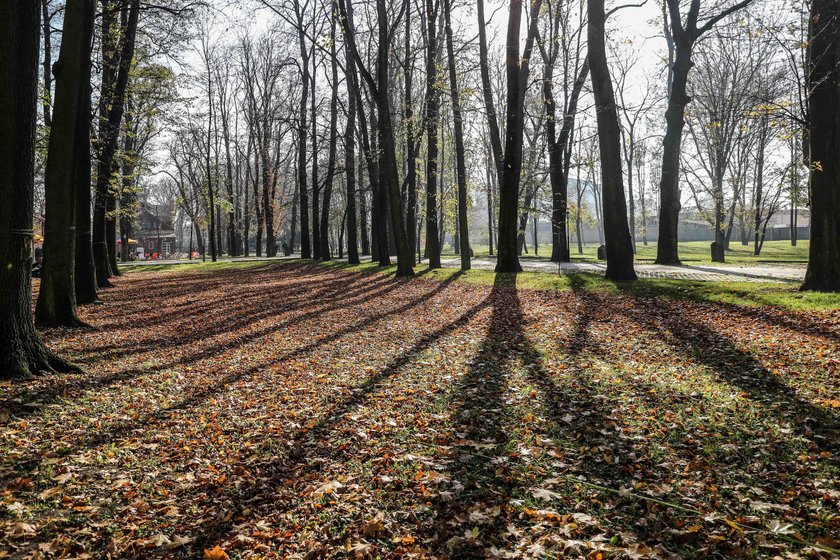 Park Zdrojowy przy rondzie Matecznego w Krakowie