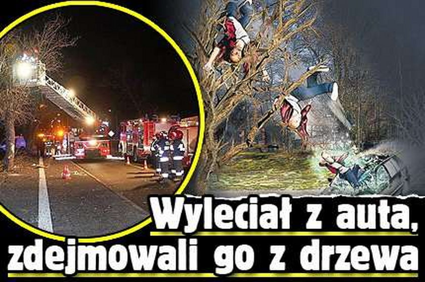 Wyleciał z auta na drzewo! Myśleli, że zginął na miejscu, a on... Nowe fakty