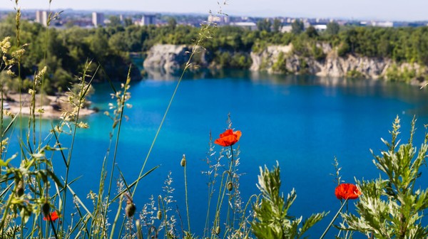 Kraków jako pierwsze miasto w Polsce sporządził Miejscowy Plan Zagospodarowania Przestrzennego „dla wybranych obszarów przyrodniczych miasta Krakowa, czyli plan poświęcony stricte zieleni.
