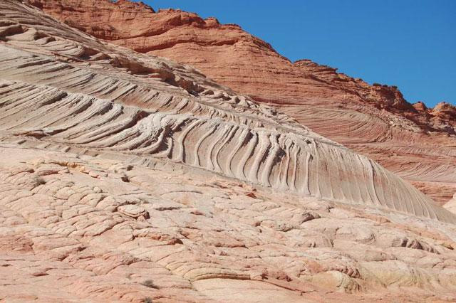 Galeria USA - Coyote Buttes - skamieniałe wydmy, obrazek 14