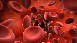 Hematolog