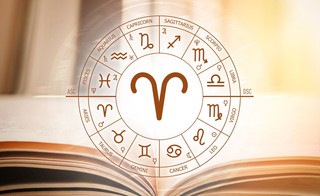 Znak zodiaku