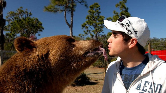 A Nemzeti Park Szolgálat tanácsa: Ha medvével találkozol, soha ne áldozd fel a lassabb barátodat