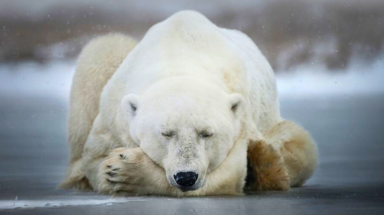 Szeretnél végre JÓL aludni? A kulcs: a melatonin - a dietetikus elmagyarázza, miért!