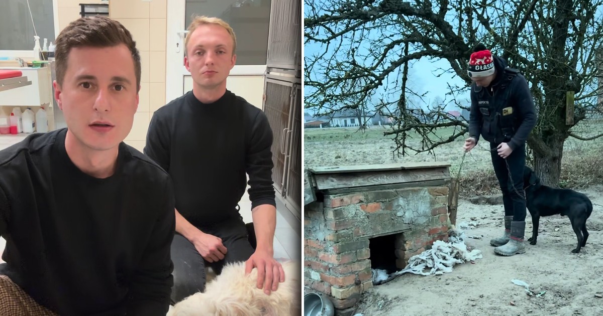 Walczyli o prawa zwierząt, po wyroku sądu kończą działalność? Jest przełom w sprawie DIOZ