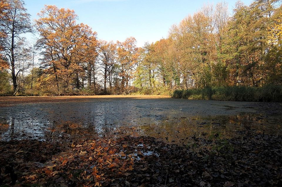 Samborowice koło Ziębic - zrujnowany pałac