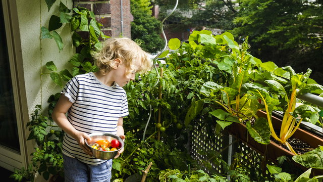 Drága a zöldség? Termeszd meg az erkélyen! – így csinálj balkonkertet