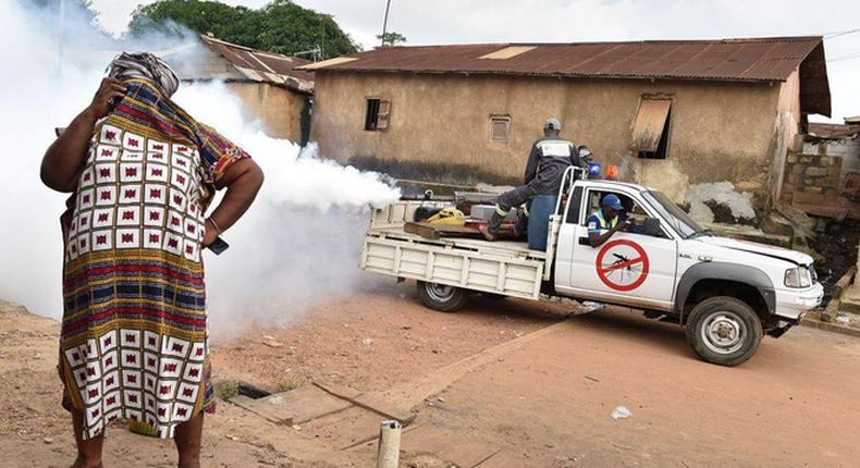 Epidemie de la dengue en Côte d'Ivoire / Allo Docteurs