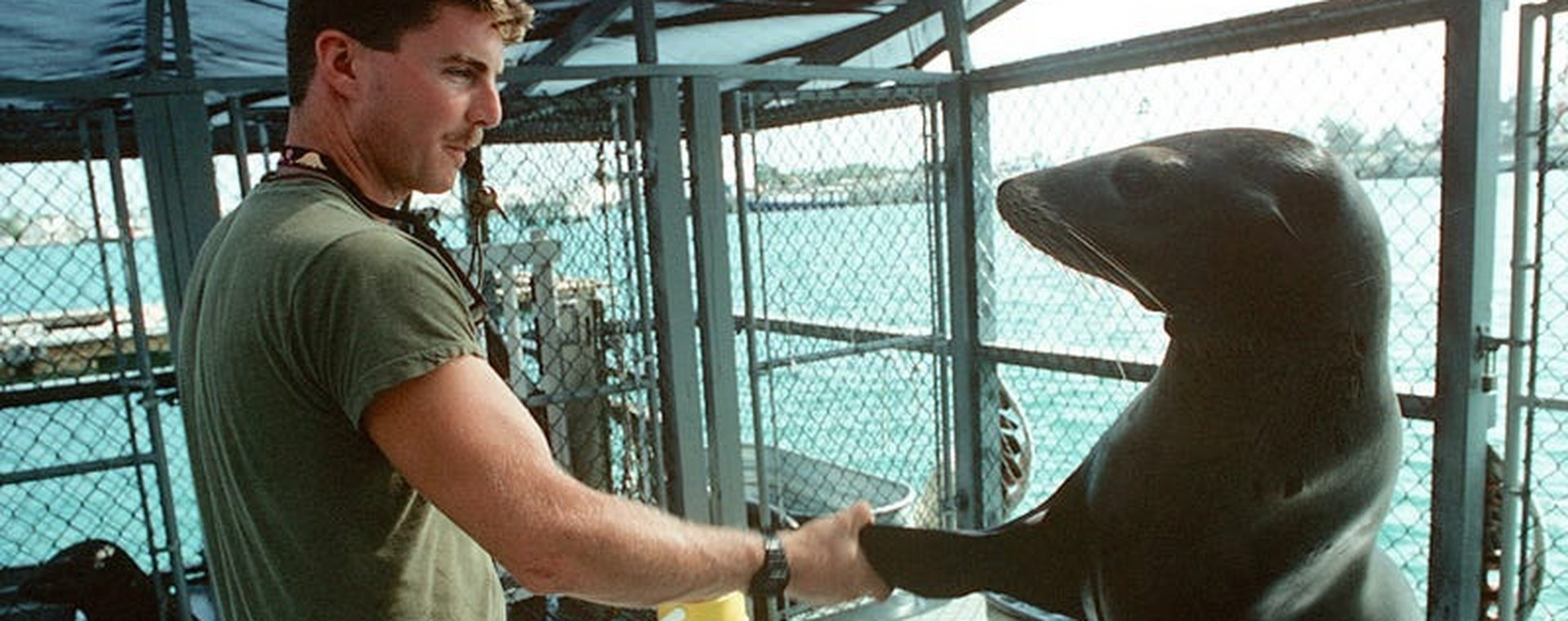 Trener US Navy z lwem morskim Mark 5 Marine Mammal w Key West w październiku 1990 r.