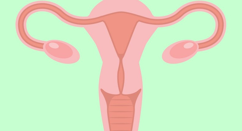 5 facts every woman should know about reproductive organs