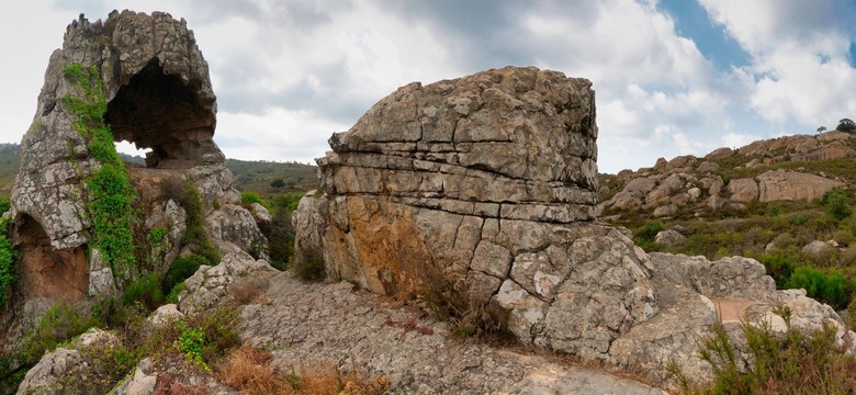 Wielki biały kot terroryzuje okolice Kadyksu. "To nie jest fake news"