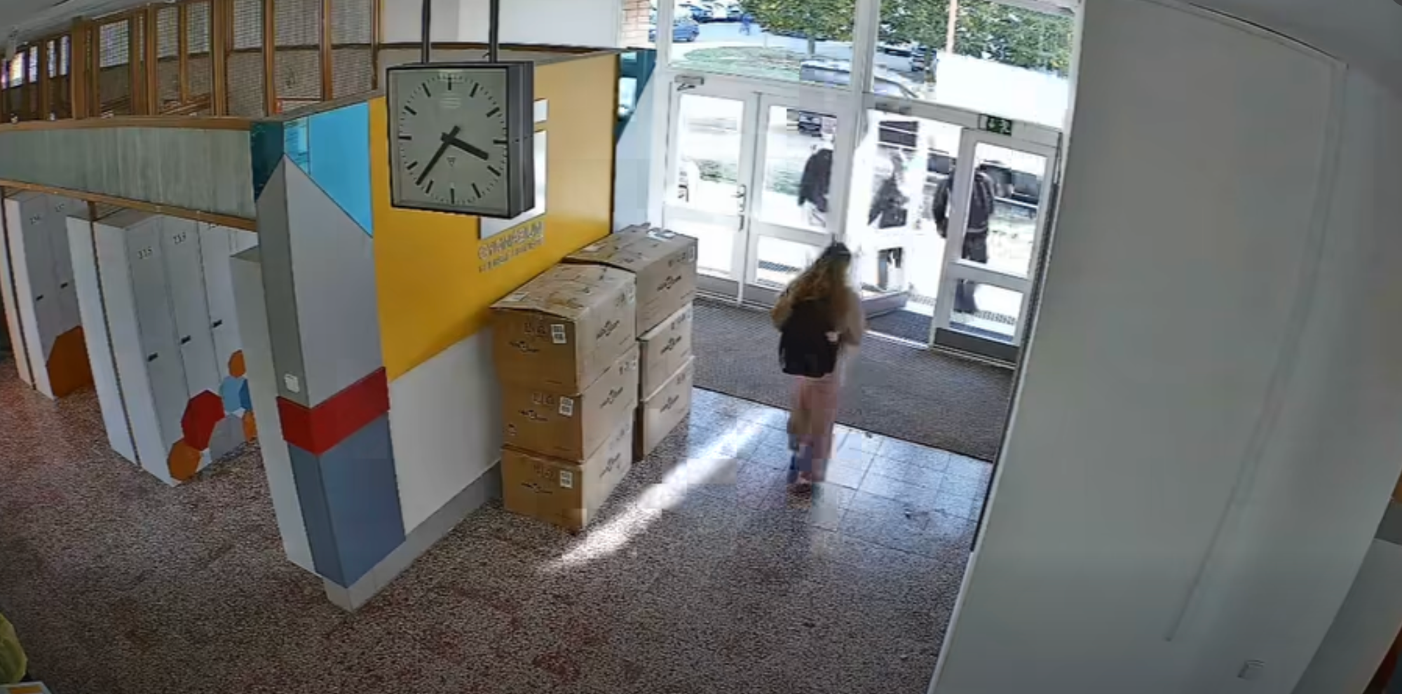 Do budovy gymnázia v Uherském Hradišti vbehol srnec. 