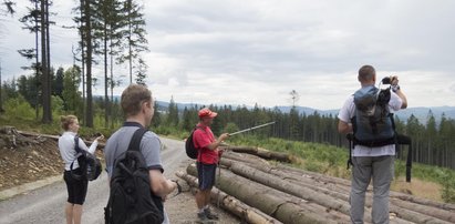 Koleje Śląskie zapraszają w Beskidy