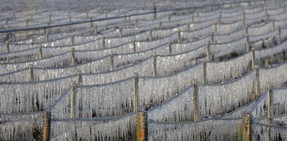 Niebezpieczne zjawiska meteorologiczne w całej Polsce. IMGW wydało alerty I stopnia