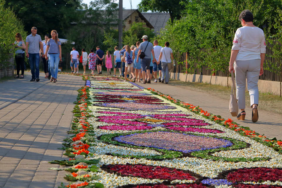 Tradycja dywanów kwiatowych na procesje Bożego Ciała, Spycimierz