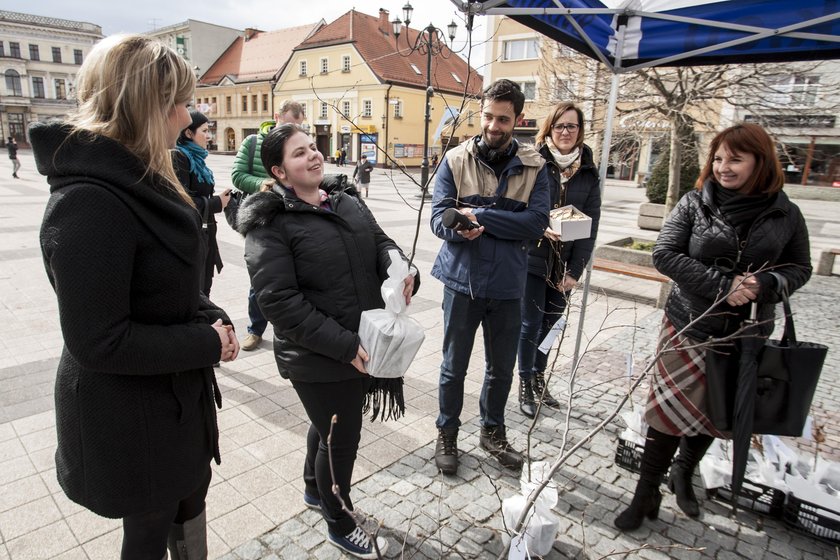 Akcja: 1000 drzew dla Rybnika