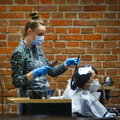 Szturm klientów i widmo bankructw. Salony fryzjerskie i kosmetyczne liczą na pomoc rządu