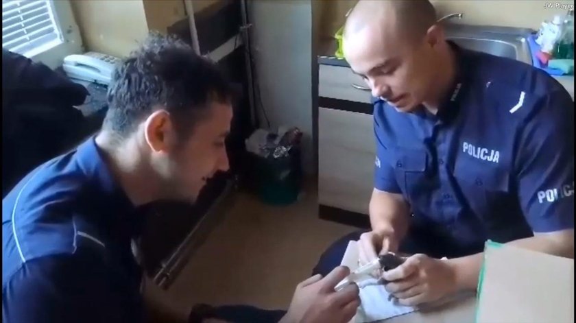 Tak policjanci z Myślenic ratowali małe kotki