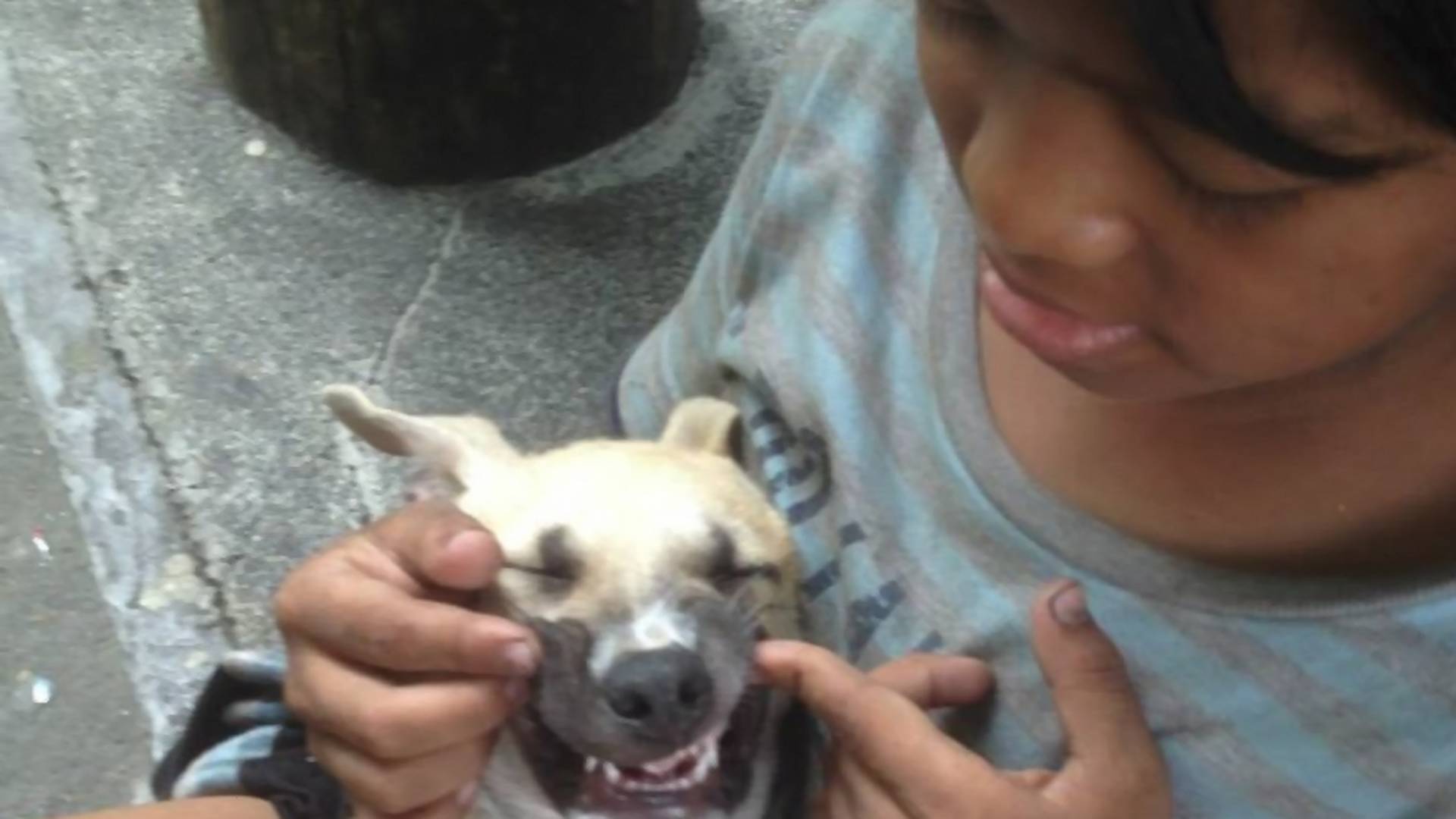 Ljubav je stigla u život dečaka beskućnika koji je spasao uličnog psa
