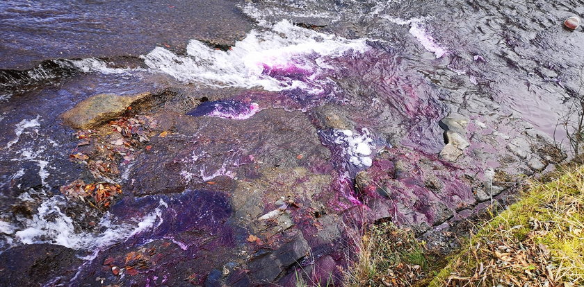 Co się stało z potokiem w Zakopanem? Woda przybrała fioletowy kolor!