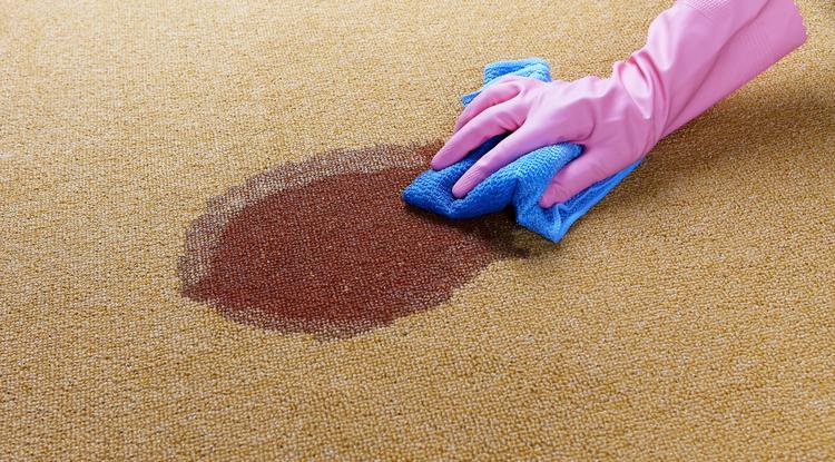 Így tisztítsd meg a szőnyegeidet. Fotó: Getty Images