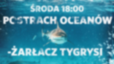 Tydzień z rekinami: "Postrach oceanów – żarłacz tygrysi" w środę 23 sierpnia w Nat Geo Wild