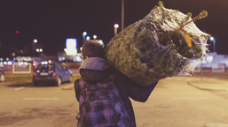 do kiedy można trzymać choinkę w domu i śpiewać kolędy? jest konkretna