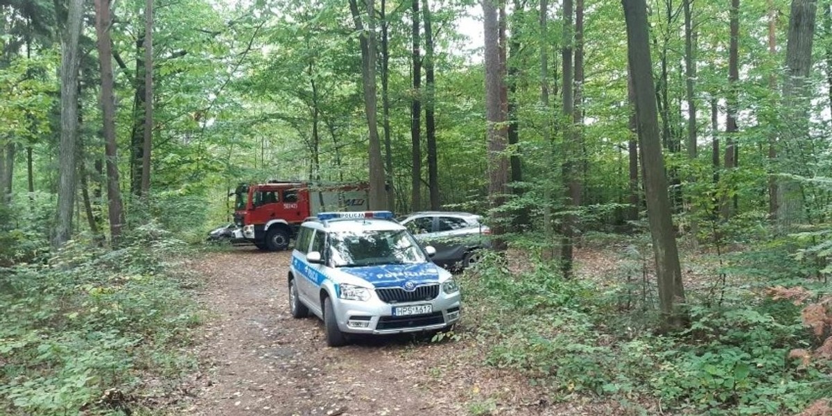 Staszów. Śmierć małżonków w lesie. Nie wrócili z grzybobrania.