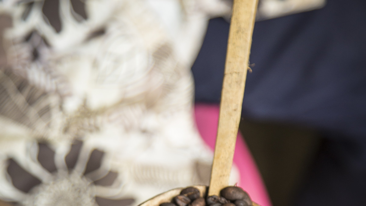 Przyszłość kawy stoi pod dużym znakiem zapytania - informuje "National Geographic". Według biologów z Królewskich Ogrodów Botanicznych dzika odmiana kawy arabskiej może wyginąć już całkowicie w ciągu najbliższych 70 lat.