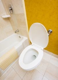 wc-d00000BF9f442240b175f