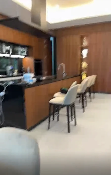 Vila Bobe Živojinovića u Majamiju