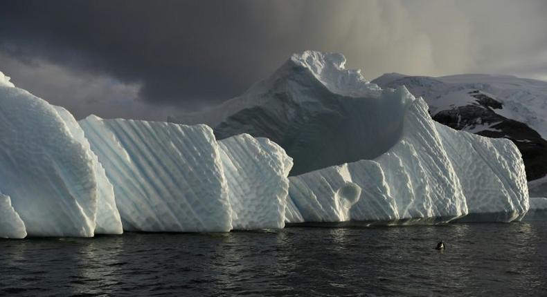 Huge ice blocks breaking off the Antarctic shelf could release vast amounts of water, significantly raising ocean levels