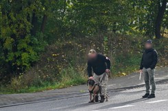 Obława na Grzegorza Borysa. 'Poszukującym ukazała się w lesie postać człowieka; szybko zniknął im z oczu'