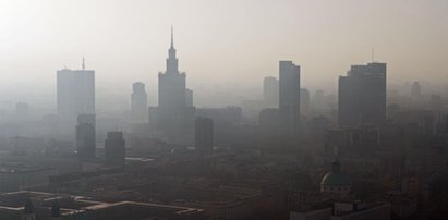 Chodnik, który zjada smog