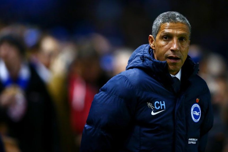 Chris-Hughton-Brighton-Hove-Albion