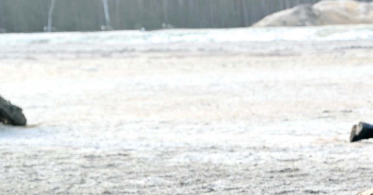 Żołnierka walczy z wojskiem o odszkodowanie. Odmówiono jej przez... wagę