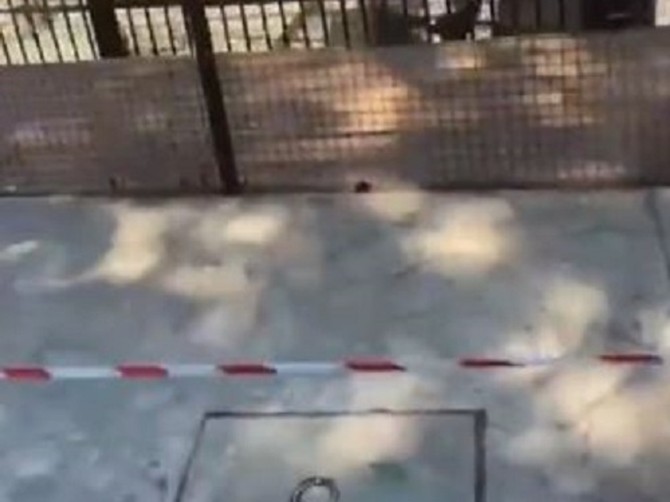 Zoo vrt