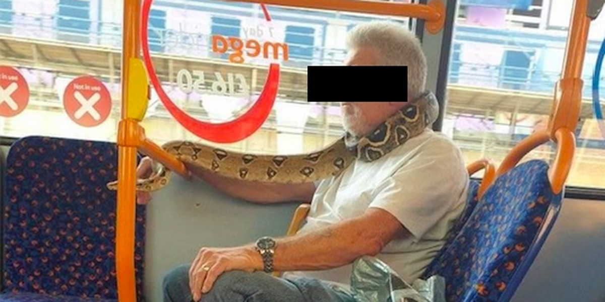 Nie miał maseczki, więc zasłonił twarz... wężem!