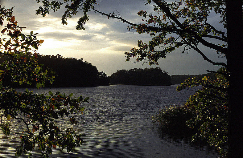 Wielkopolski Park Narodowy, Warta, woj. wielkopolskie