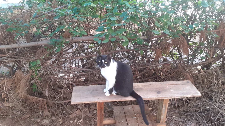 Stanovnici "oaze radosti" u Nišu