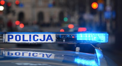 Widziałeś ten wypadek? Policja szuka świadków potrącenia na przejściu dla pieszych