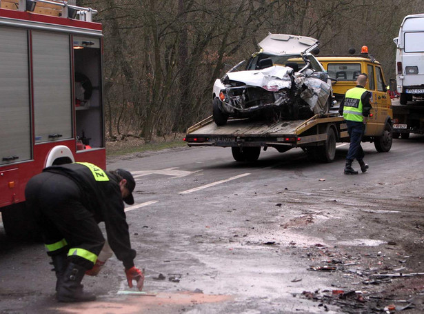 Wypadek z dzikiem? Jak nie zostać jeleniem