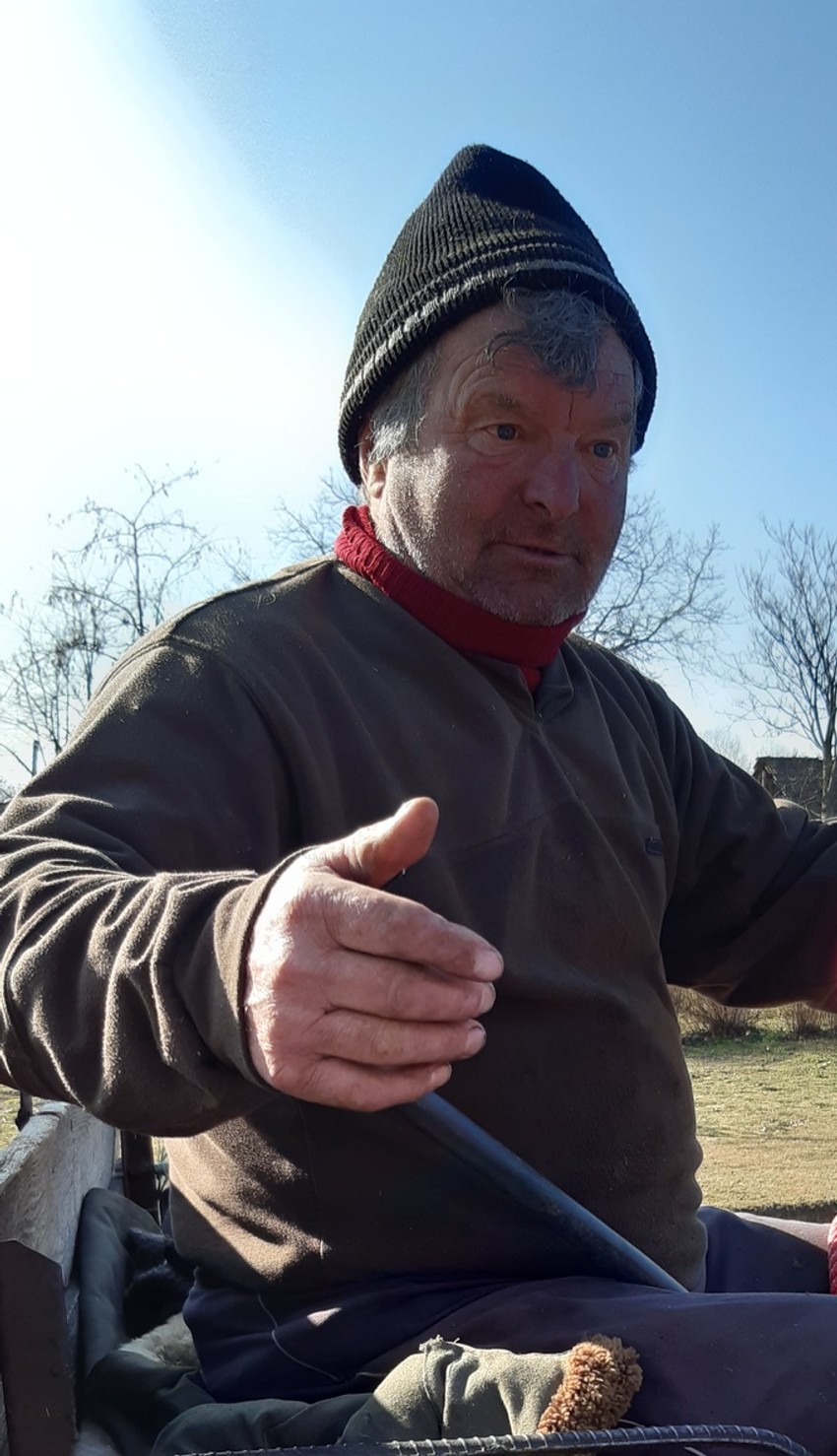 Pere Tot, Kiralj iz Donjeg Tavankuta