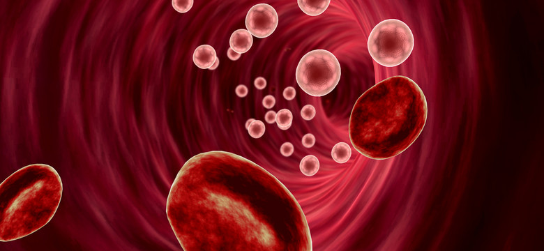 Leukocyty - rola w organizmie, o czym świadczy nadmiar i niedobór leukocytów