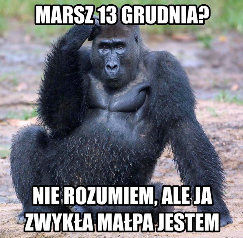 Mem po marszu PiS