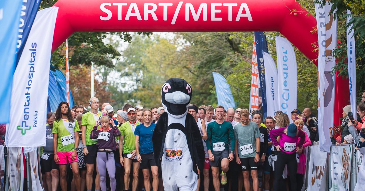 Sukces frekwencyjny Wild Run