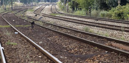 Rodzice nastolatków oskarżają PKP. "Nieciekawa sytuacja zostać na peronie samemu, w ciemną noc"