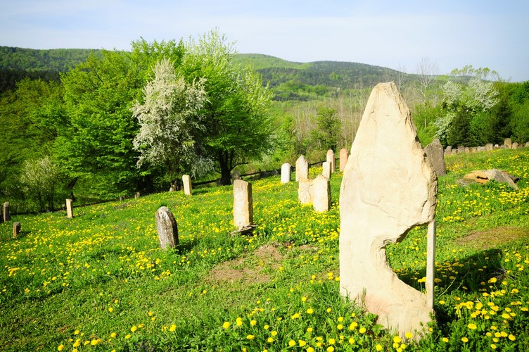 Treny okalające projektowany Turnicki Park Narodowy posiadają bardzo dobrze zachowane świadectwo o wielokulturowości terenów Podkarpacia. Znajdują się tam bowiem cmentarze żydowskie (na zdjęciu cmentarz w Rybotyczach), greckokatolickie czy ewangelickie. W Posadzie Rybotyckiej stoi natomiast najstarsza w Polsce XV-wieczna murowana cerkiew obronna pw. św. Onufrego (XIV-XVI w). W bezpośrednim sąsiedztwie projektowanego parku znajduje się także Kalwaria Pacławska ze szczególnie ważnym dla katolików Sanktuarium Męki Pańskiej i Matki Bożej Kalwaryjskiej.
<br><br>
fot. Maciek Suchorabski